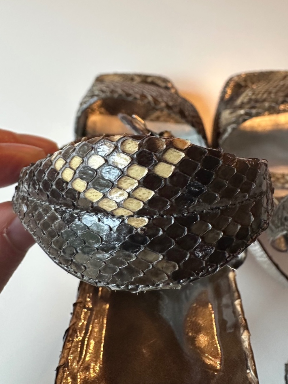 Python Heels - Picture 8 of 16